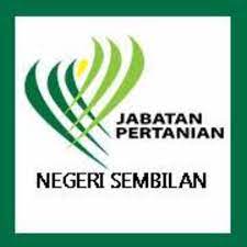 Jabatan pertanian got an excellent score of 98.14 out of 100 in accountability index rating done by national audit department. Jabatan Pertanian Negeri Pahang Home Facebook