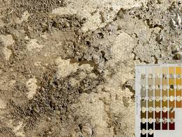 Soil Judging Contest The Use Of Munsell Color Charts For