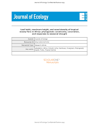 Image result for Polyceratocarpus gossweileri