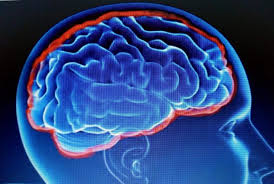 La meningitis es la inflamación de las meninges. 24 De Abril Dia Mundial De La Meningitis Tv
