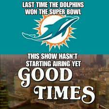 Pin On Dolphins Suck