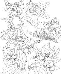 Realistic bird coloring pages adult coloring books birds unique. Birds And Flowers Coloring Pages Coloring Home