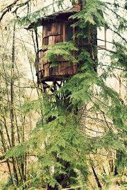 Treehouse Point In Issaquah Wa Submitted Tree House Tree House Kids House In The Woods