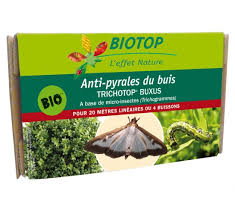 Certains utilisent encore des insecticides chimiques redoutablement efficaces contre la pyrale du buis. Trichotop Buxus Contre La Pyrale Du Buis