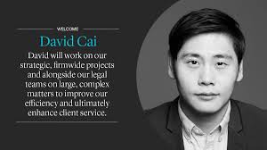 Lenczner Slaght على X: "We are delighted to welcome David Cai as our Legal  Project Manager! By combining his expertise in #projectmanagement and  #legaltechnology with his prior experience practicing law, David will