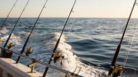 SPI Wahoo Classic