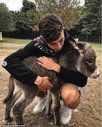 Kai havertz was pleased with his and the team's performance in beating a strong opponent in everton on his return to the team, but insists there is plenty more to come on both fronts. Chelsea Beitreten Real Madrid Bayern Munchen Und Manchester United In Der Verfolgung Von Kai Havertz Aktuelle Boulevard Nachrichten Und Fotogalerien Zu Stars Sternchen