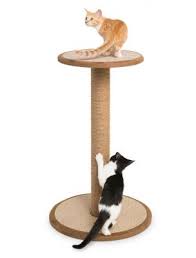 Pin On Cat Scratchers And Scratching Posts