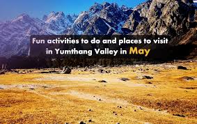 Check spelling or type a new query. Fun Activities To Do And Places To Visit In Yumthang Valley In May