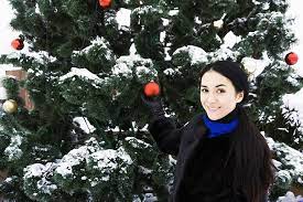 Hours may change under current circumstances The 7 Best Christmas Tree Farms In Colorado