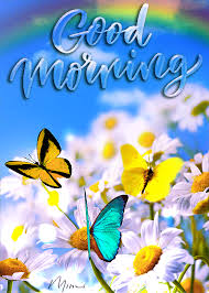 Get good morning wishes, pictures at wishgoodmorning.org. Mimi Gif Good Morning Good Morning Flowers Gif Good Morning Gif Good Morning Animation