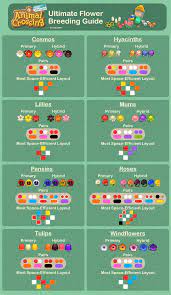 Couldn T Find A Guide For Flowers That Showed Any Layouts So I Made One Ac Newhorizons Animal Crossing New Animal Crossing Animal Crossing Guide