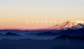 Ilvermorny Tumblr Harry Potter Tumblr Ilvermorny Wizarding World