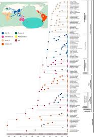 Image result for Helixanthera kirkii