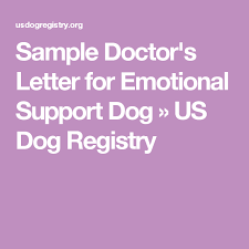 You can find sample letters online to make sure that your health care provider includes all the information necessary for a valid esa letter. Sample Doctor S Letter For Emotional Support Dog Us Dog Registry Emotional Support Dog Emotional Support Emotional Support Animal