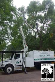 For over 25 years, arbor tree care, inc. Denver Area Tree Services Lawn Care American Arbor Care