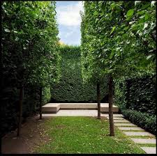 Alibaba.com offers 1,145 trees backyard products. 1001 Small Garden Ideas To Turn Your Yard Into The Best Relaxation Spot