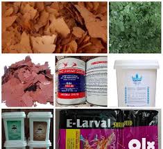 Betta fish can be in the same tank as algae eaters, guppies (pictured below) or corydorus catfish this is so untrue. Guppy Fish Feeds Wholesale Ads October Clasf