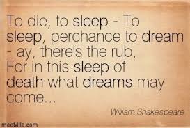 Pin By Suzana Zupancic On Quotes Shakespeare Words What Dreams May Come Literary Quotes
