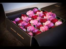 Roses Delivery Roses Delivery London Roses Delivery Sydney Valentines Flowers Roses Only Flowers Bouquet Gift
