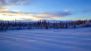 Places like this do not exist in the lower 48. Hd Wallpaper Denali National Park Winter Snow Zing Wilderness Alaska Wallpaper Flare