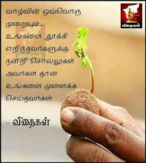 Pin By Tamilarasu P On Sms True Friendship Quotes Tamil Motivational Quotes Photo Album Quote