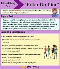 Boku No Pico Meaning: What does this Interesting Slang Term Mean? • 7ESL