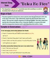 Boku no pico explained