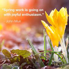 Enthusiasm Flower Essay Best Flower Wallpaper