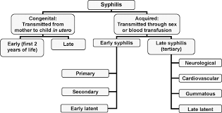 Image result for Cardiovascular Syphilis