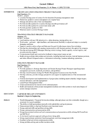 Writing tips, suggestions and more. Strategy Project Manager Resume Samples Velvet Jobs