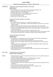 A project manager resume summary delivers information on a candidate's abilities to do the job. Strategy Project Manager Resume Samples Velvet Jobs