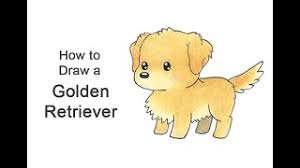 We can draw a medium to large sized dog. How To Draw A Golden Retriever Cartoon Youtube