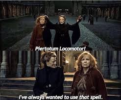 Harry Potter World On Twitter 1 May 1998 I Ve Always Wanted To Use That Spell Professor Mcgonagall