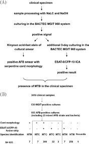 A Flow Chart Showing The Identification Of Mtc From