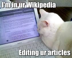 Image result for lolcats