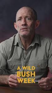 A lion… swimming?, Sometimes cats forget they’re cats., Will this be the  top sighting of the week?, Catch A Wild Bush Week this Wednesday at 19:30  CAT, for the wildest countdown in Africa., ...