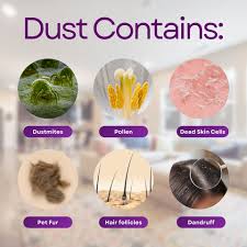 Image result for Dust mite