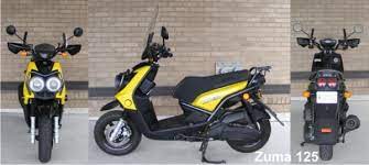 Yamaha Zuma 125 Scooter 125 Scooter Yamaha Scooter Yamaha