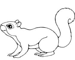 Coloring pages for squirrel are available below. 20 Free Printable Squirrel Coloring Pages Everfreecoloring Com