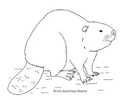 You can search several different ways, depending on what information you have available to enter in the site's search bar. North American Beaver Coloring Page By Mama Draw It Tpt