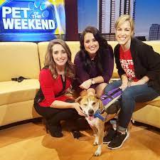 After graduation, she headed to abilene, where she gained lots of great experience forecasting and reporting on everything from ice storms to tornadoes to heatwaves. Chelsea Andrews Fox 7 Chelsea Fox Made Her First Appearance 2 May 2006