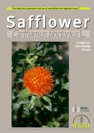 Indonesia, ahli akupunktur bunga persik tingkat penuh. Pdf Safflower Carthamus Tinctorius L