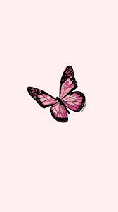 Decorate your laptops, water bottles, notebooks and windows. Pink Butterfly Pink Wallpaper Backgrounds Pink Wallpaper Iphone Butterfly Aesthetic