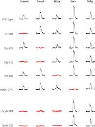 Use the help me control my tongue coloring page as a fun activity for your next children's sermon. The Receptors And Cells For Mammalian Taste Nature