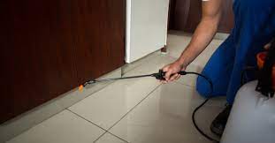 How much does a pest control technician make at affordable pest in the united states? Top 10 Pest Control Services In Mumbai Safe Certified Chemicals Urban Company