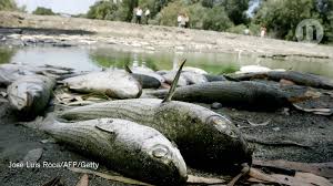 Nehir hakkında şikayet yazmak ya da kullanıcı yorumlarını mı arıyorsunuz? Prepare River Ecosystems For An Uncertain Future