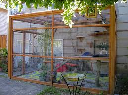 Diy outdoor cat shelter for the feral cats that come visiting and made from waste timber. Diy Catio Plans Catio Spaces