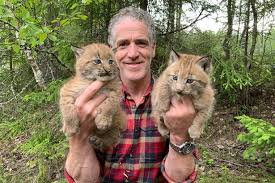 Find maine coons kittens & cats for sale uk at the uk's largest independent free classifieds site. How Wildlife Cameraman Gordon Buchanan Rescued Snow Cats From Cage Hell Mirror Online