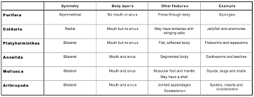 72 Specific Phylum Comparison Chart